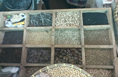 0418D8EC-6FF4-480E-81BE-9032ACAFB515