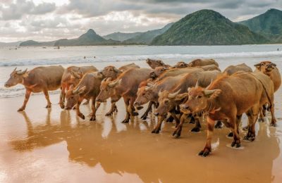 86B0931F-01C4-48E1-955E-70ECBD96ECEA