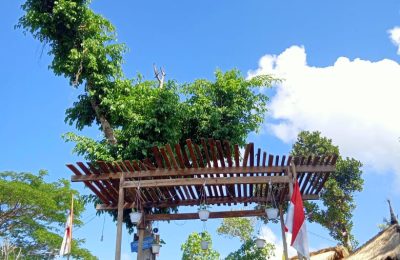 C2CC4BA4-3140-4D83-AD63-5A2D9C038D20-3974e73b