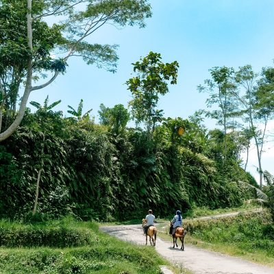 Danau Biru - Karang Sidemen (1)