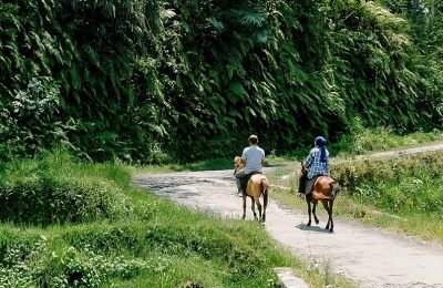 Danau Biru - Karang Sidemen (1) - Cover