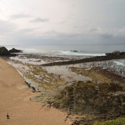 ????????????????????????????????????