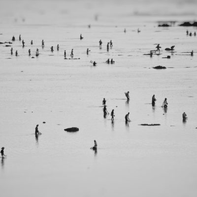 ????????????????????????????????????