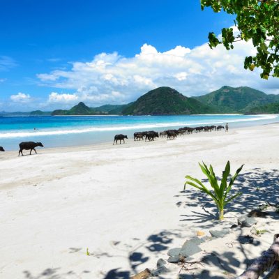 ????????????????????????????????????