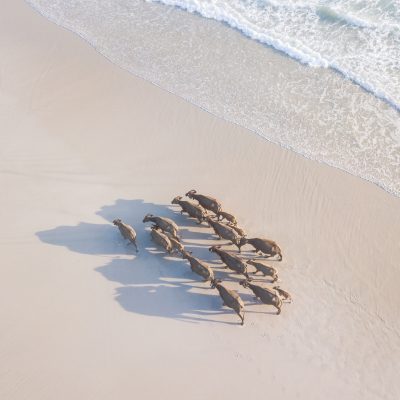 Pantai Selong Belanak (17)