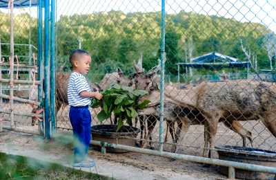 TWA Gunung Tunak (7)