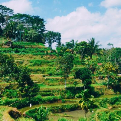 tandung andung 2